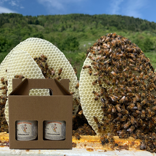 Box regalo 2 vasi da 250g