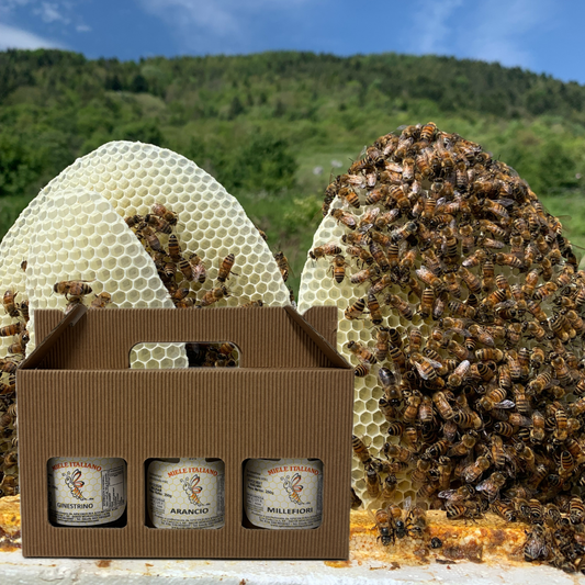 Box regalo 3 vasi da 250g