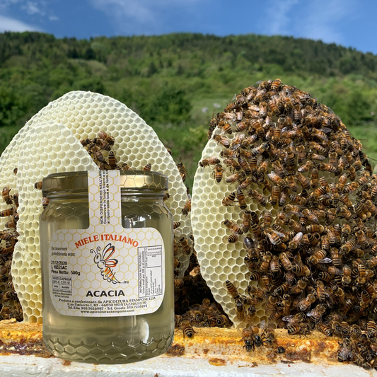 Miele di Acacia