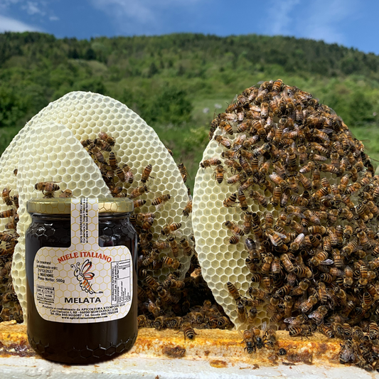 Miele di melata